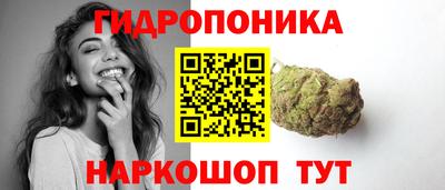 соль ск Дубна