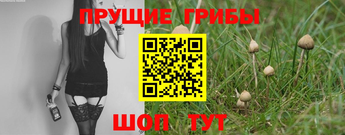 Галлюциногенные грибы MAGIC MUSHROOMS Куйбышев