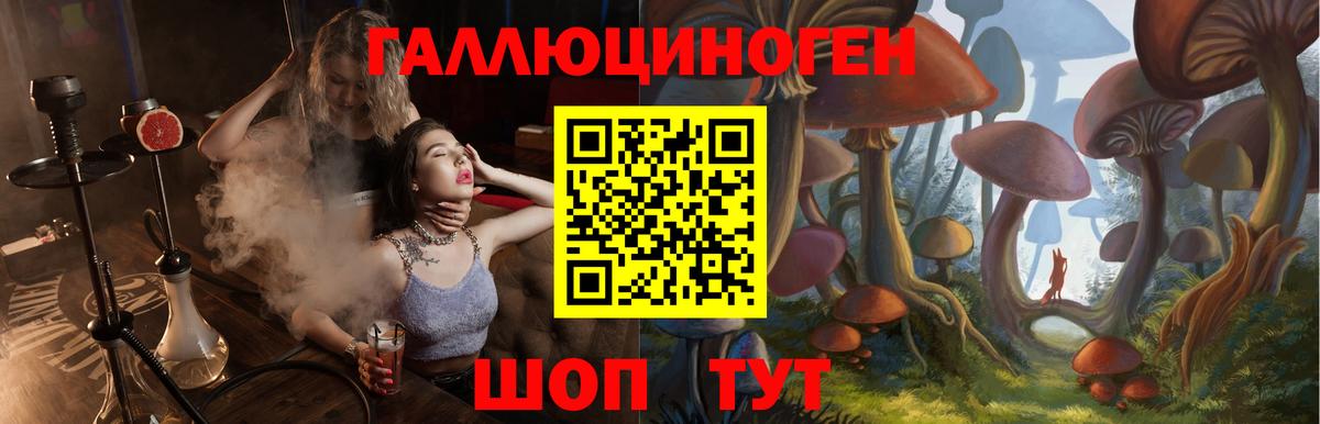 Куйбышев  где можно купить наркотик  Псилоцибиновые грибы ЛСД  Вход с VPN  Галлюциногенные грибы Psilocybe 